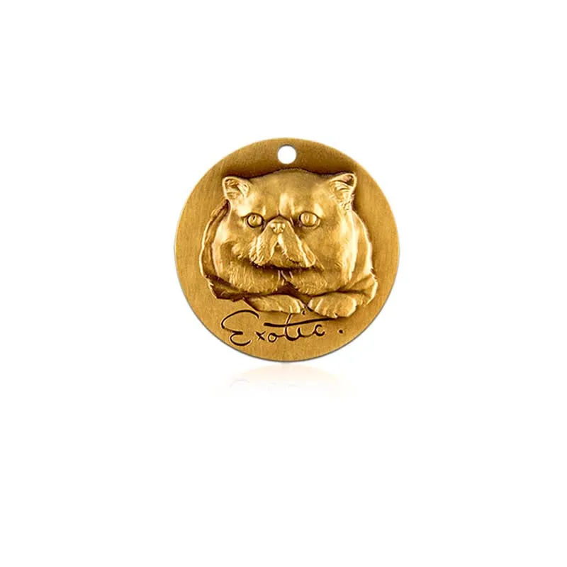 3D Custom Cat ID Tags