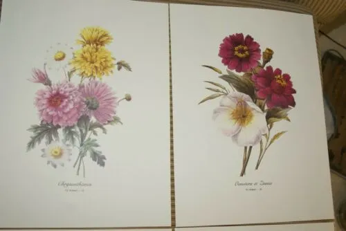 4 VARIED REDOUTE BOUQUET PLATES COLLECTIBLE COLORFUL FLOWERS WALL ART HOME DECOR 22, 23, 24 &25