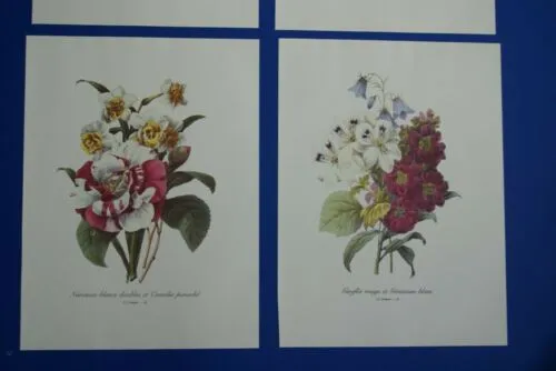 4 VARIED REDOUTE BOUQUET PLATES COLLECTIBLE COLORFUL FLOWERS WALL ART HOME DECOR 22, 23, 24 &25