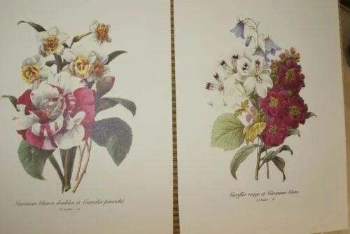 4 VARIED REDOUTE BOUQUET PLATES COLLECTIBLE COLORFUL FLOWERS WALL ART HOME DECOR 22, 23, 24 &25