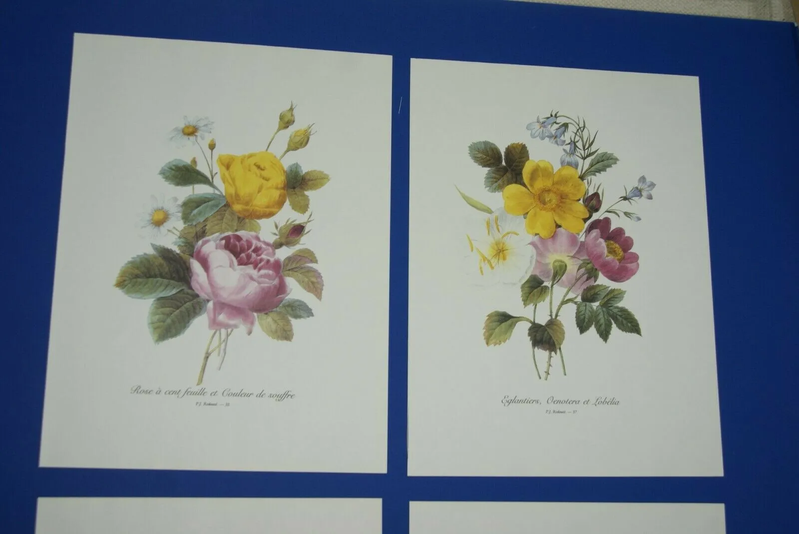 4 VARIED REDOUTE BOUQUET PLATES COLLECTIBLE COLORFUL FLOWERS WALL ART HOME DECOR 35, 37, 43 & 38