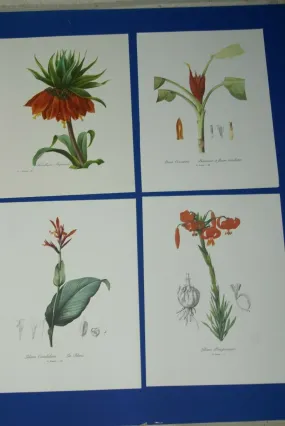 4 VARIED REDOUTE BOUQUET PLATES COLLECTIBLE COLORFUL FLOWERS WALL ART HOME DECOR 41, 308, 199 & 7
