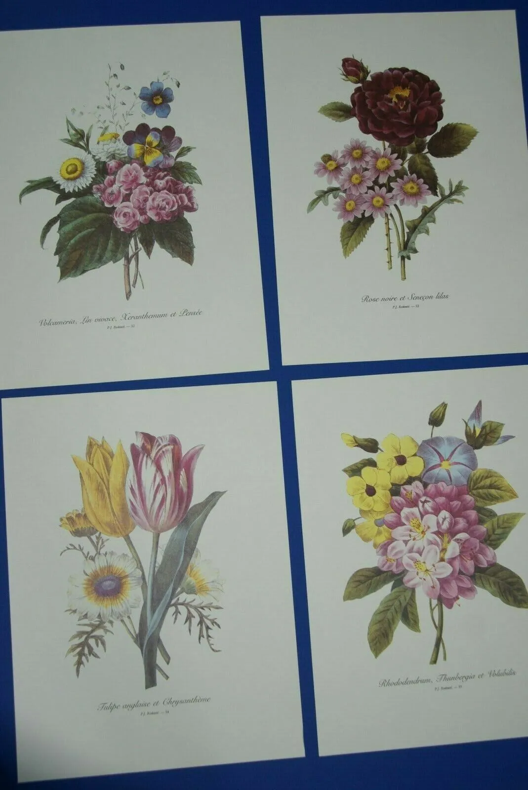 4 VARIED REDOUTE BOUQUET PLATES COLLECTIBLE COLORFUL FLOWERS WALL ART HOME DECOR  52, 53, 54 & 55