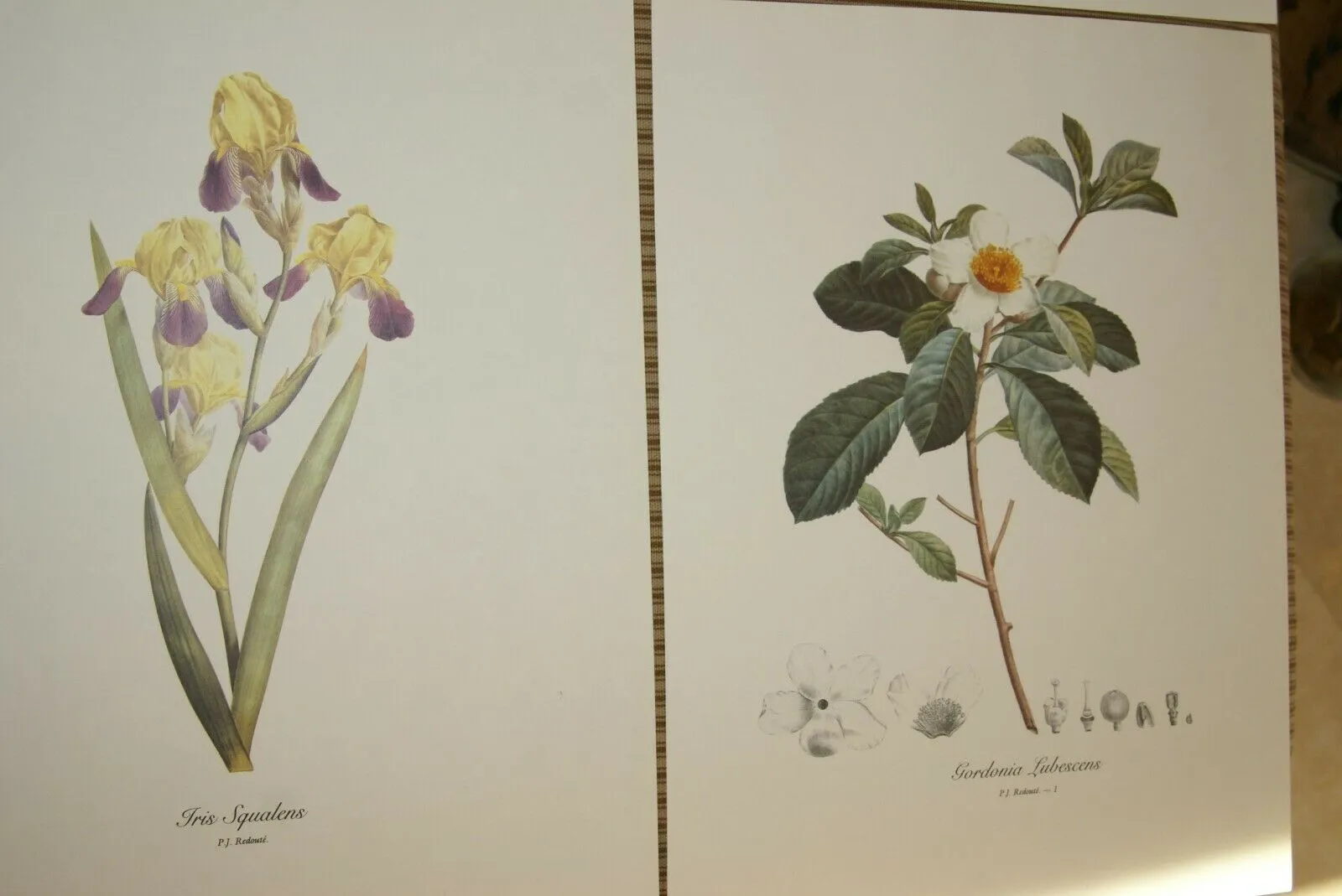 4 VARIED REDOUTE BOUQUET PLATES COLLECTIBLE COLORFUL FLOWERS WALL ART HOME DECOR  83, 84, IRIS & 1