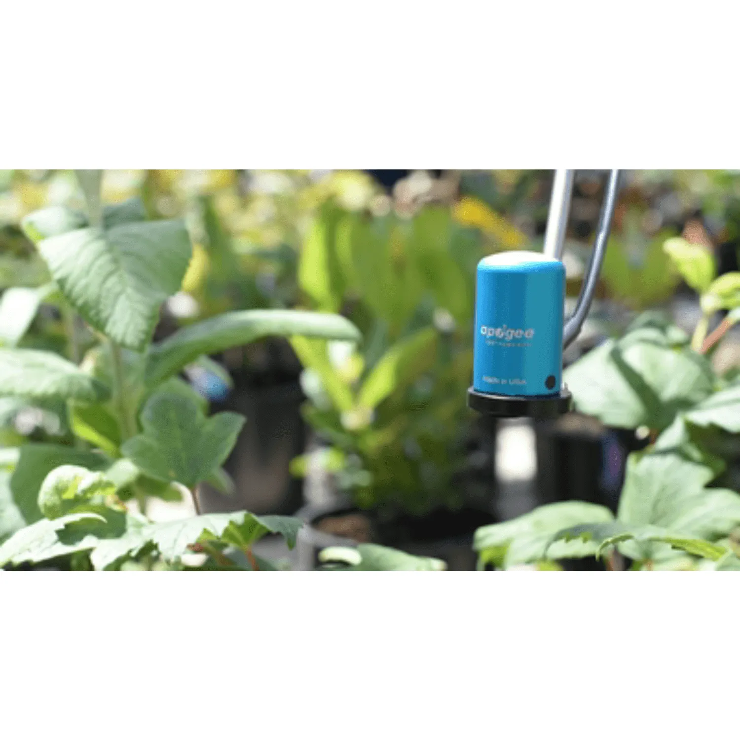 Apogee Instruments Telescopic Sensor Wand