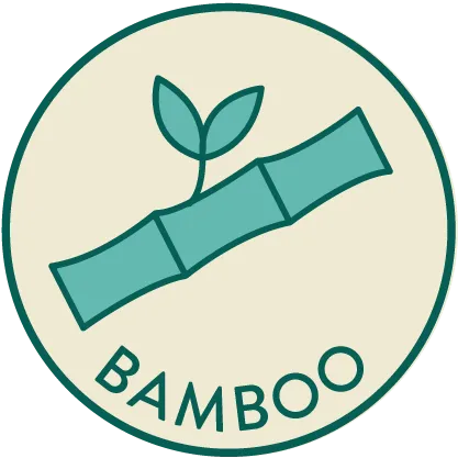 Bamboo T-Rex Plate