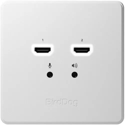 BirdDog BDWPIN Wallplate Dual Input