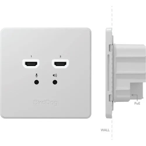BirdDog BDWPIN Wallplate Dual Input