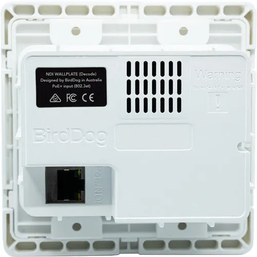 BirdDog BDWPIN Wallplate Dual Input