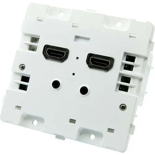 BirdDog BDWPIN Wallplate Dual Input