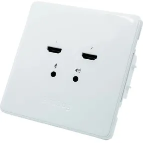 BirdDog BDWPIN Wallplate Dual Input