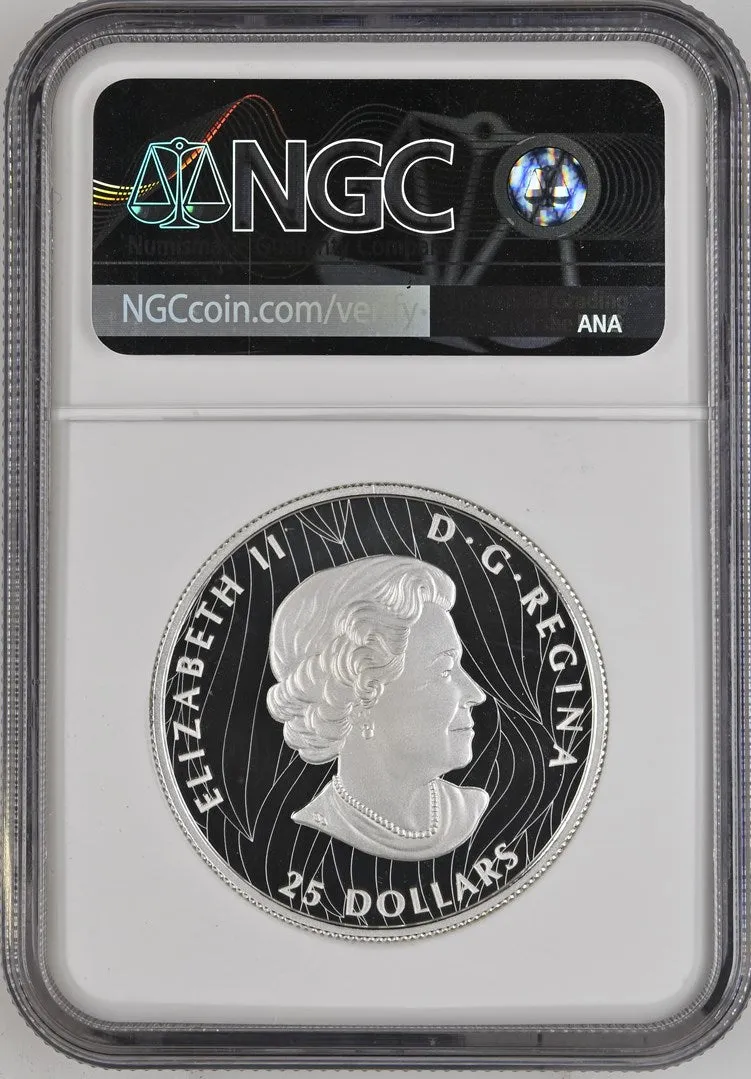 Canada Silver 2020 $25 Proud Bald Eagle, Extraordinary High Relief PF 1.017oz, .9999