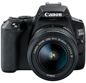 Canon EOS 250D (Rebel SL3) DSLR Camera w/ 18-55m DC Lens (International Model)