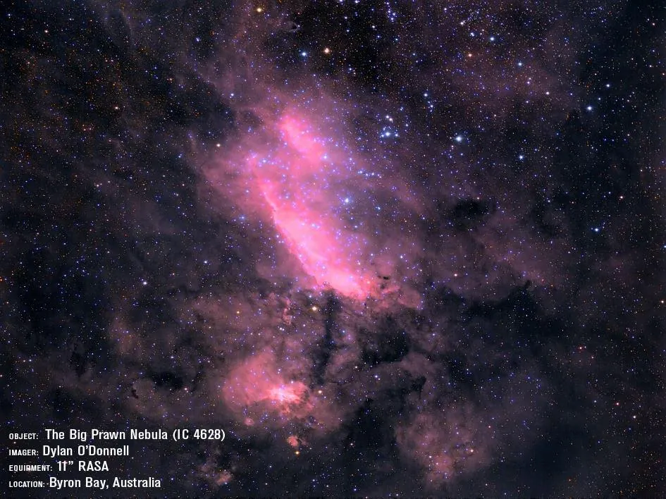 Celestron 11" Rowe-Ackermann Schmidt Astrograph V2 OTA