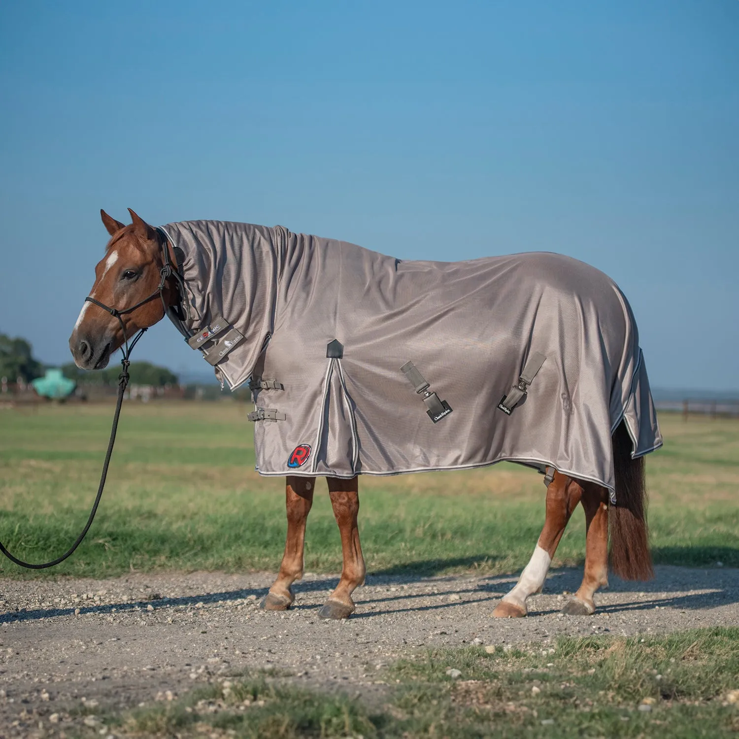 Classic Equine Ceramic Sheet with Hood
