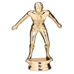 Custom Trophies 11&#34;