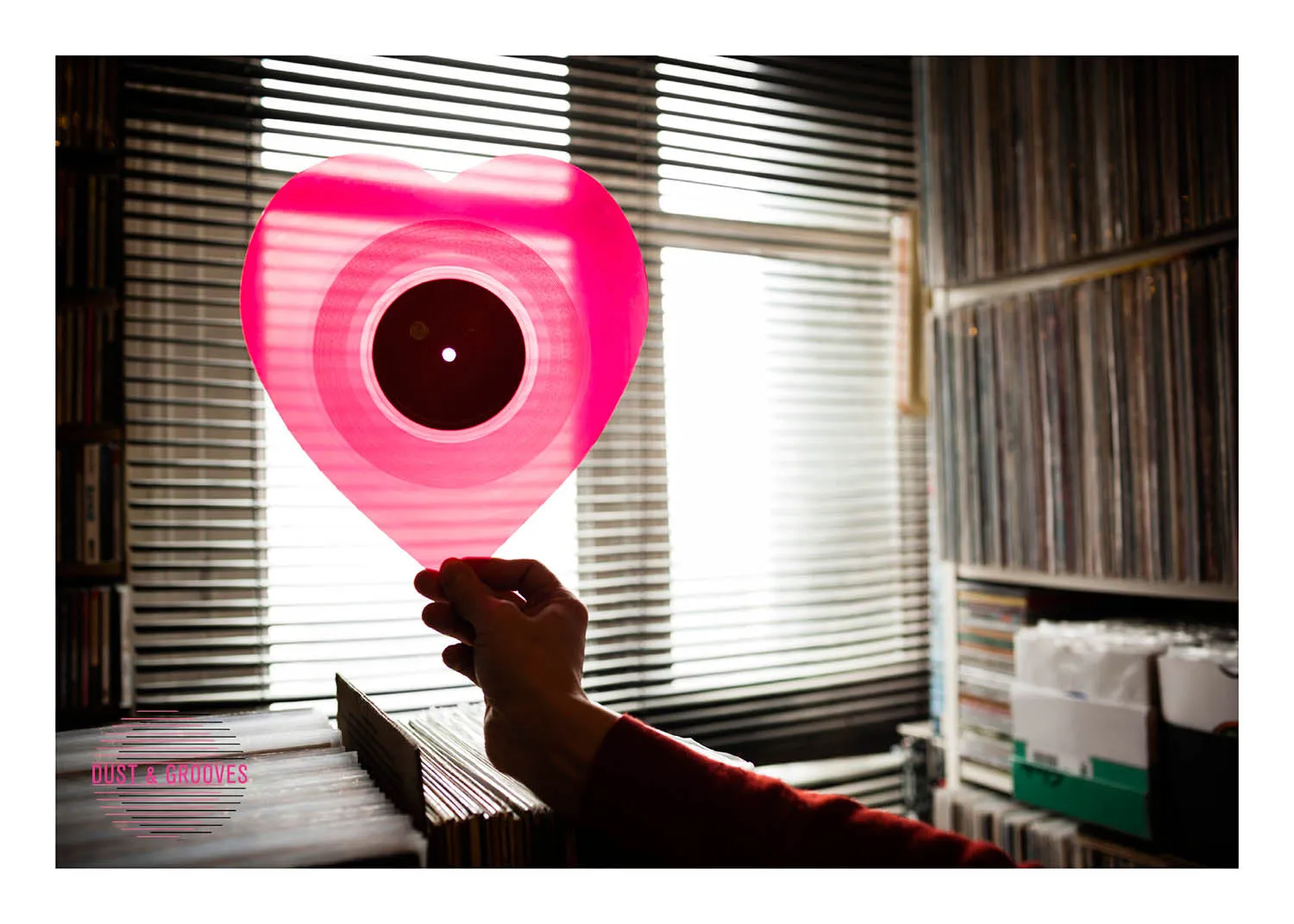 Dust & Grooves: Adventures in Record Collecting