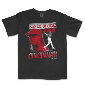 EDLC Signature Series | Comfort Colors® Vintage Tee