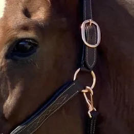 Padded Leather Halter w/ Rose Gold Hardware   FREE Custom Name Tag