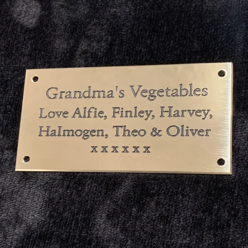 Polished Brass Plate 4" x 2"