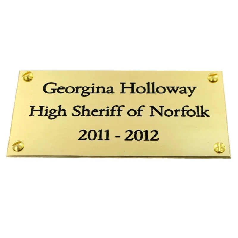 Polished Brass Plate 4" x 2"