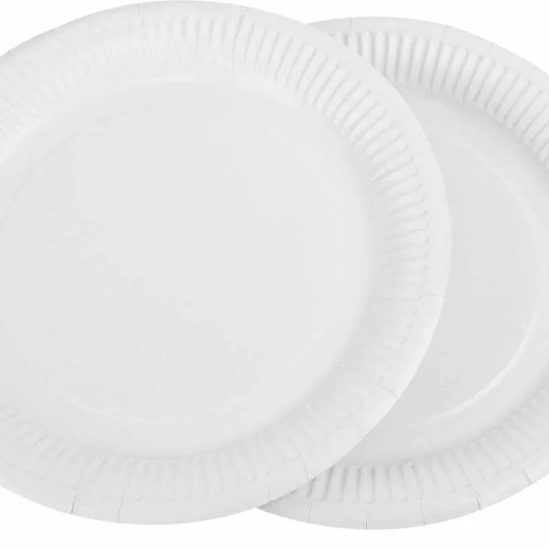 White Paper Plates Pk 20